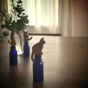 ごぇっち