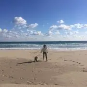 kudeの画像