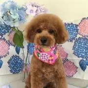 もか