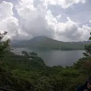 Sasaの画像