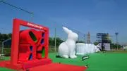 ミジュの画像