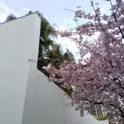 ma:::::の画像