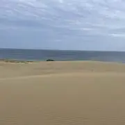 マルコフニコフの画像