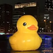 りなこ