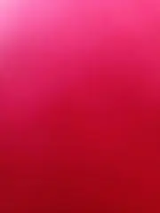 たまの画像