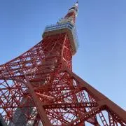 つばくろうの画像