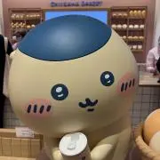 Mapi 即購入大歓迎の画像