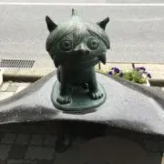 もちの画像