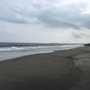 たくろう