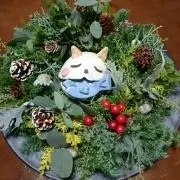 ひろぱんだ