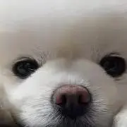 keiの画像