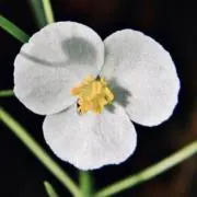 kkkoの画像
