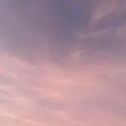 sの画像