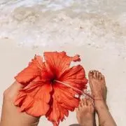 風香の画像