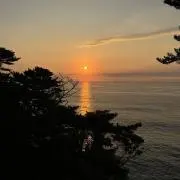 ぶろこ