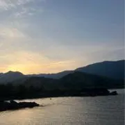 はなの画像