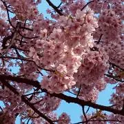 タキ プロフ必読の画像