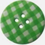 サーモン【8/19まで発送不可】の画像