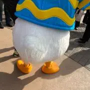 りずの画像