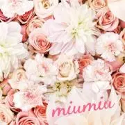 An♡の画像