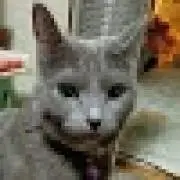 あずむぎママ