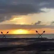 はるかぜそよそよの画像