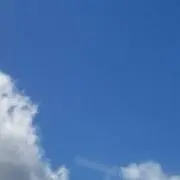 tai