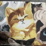 akoの画像
