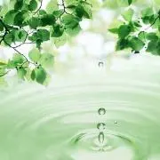 綺更