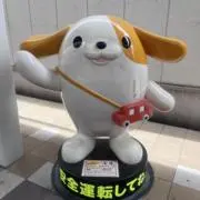 cocknの画像