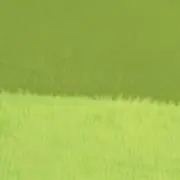 ぺるをの画像
