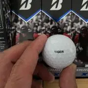 たいがーの画像