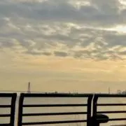 アンカ@即購入◎の画像