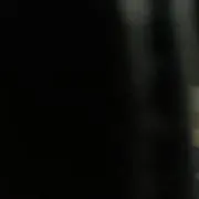 MU