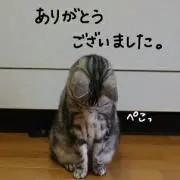 まちまち