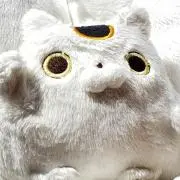 にゃんぷく