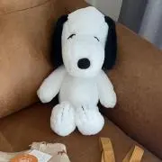 a.の画像