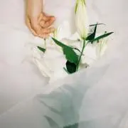 ひつじのしょーん☆