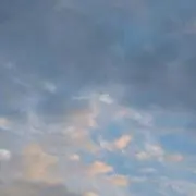 くろね
