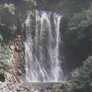 ひろの画像