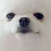 たかやま