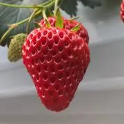 N☆Yの画像