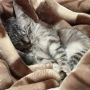 ユキ