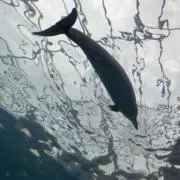 もりの画像