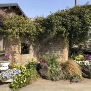 Kの画像