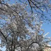 RUN☆の画像