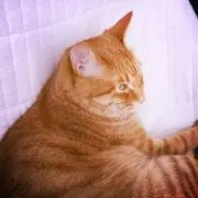 ma.の画像