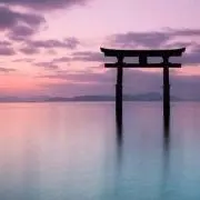COLOR☆全品お値下げ可能☆の画像