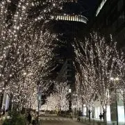 みの画像