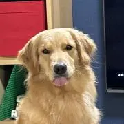 hinacornの画像